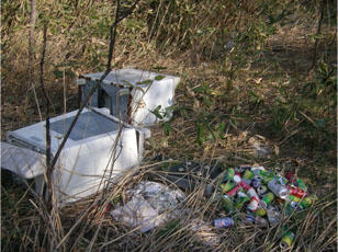  民有林の中に捨てられている洗濯機等