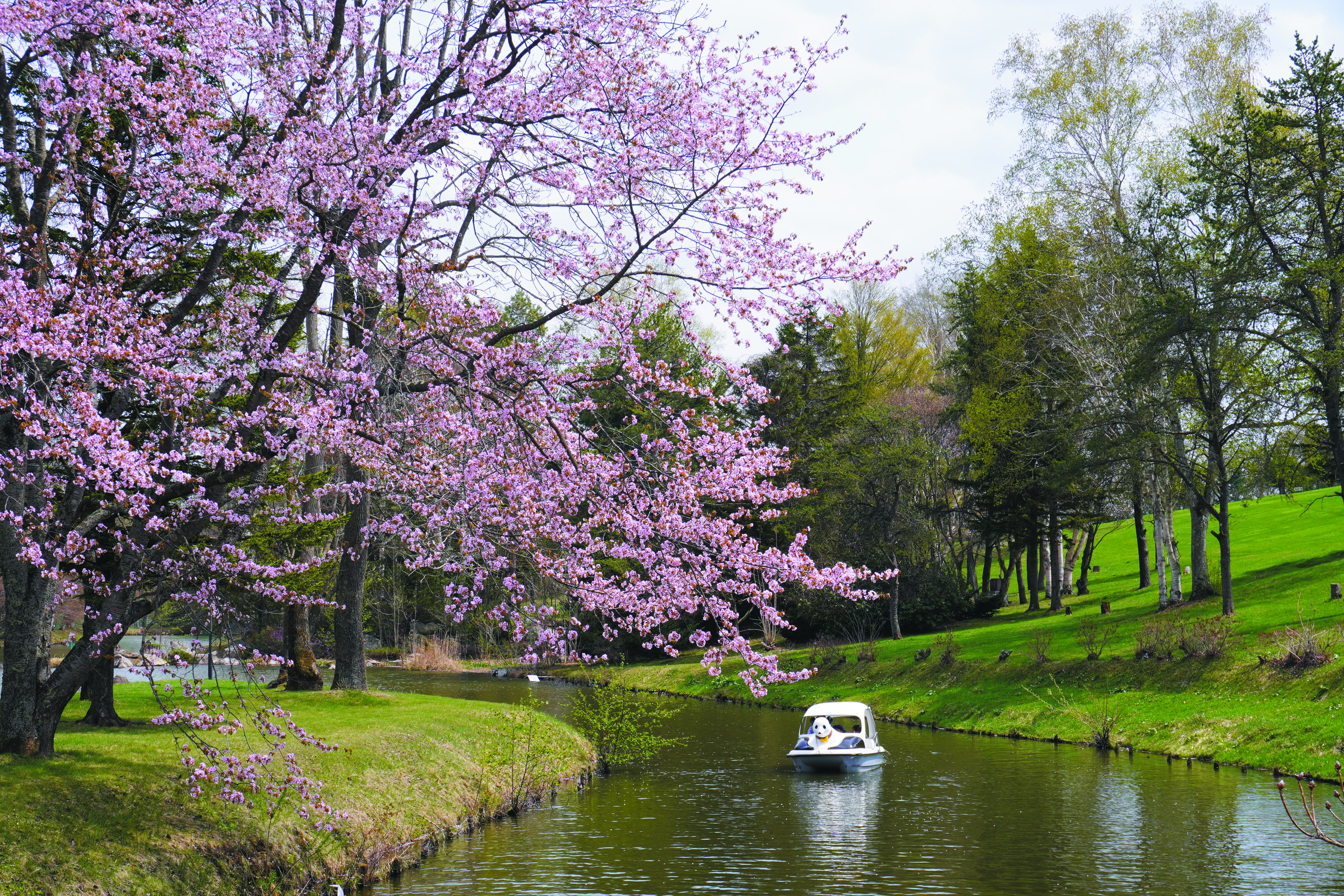 shimizukouen.jpg